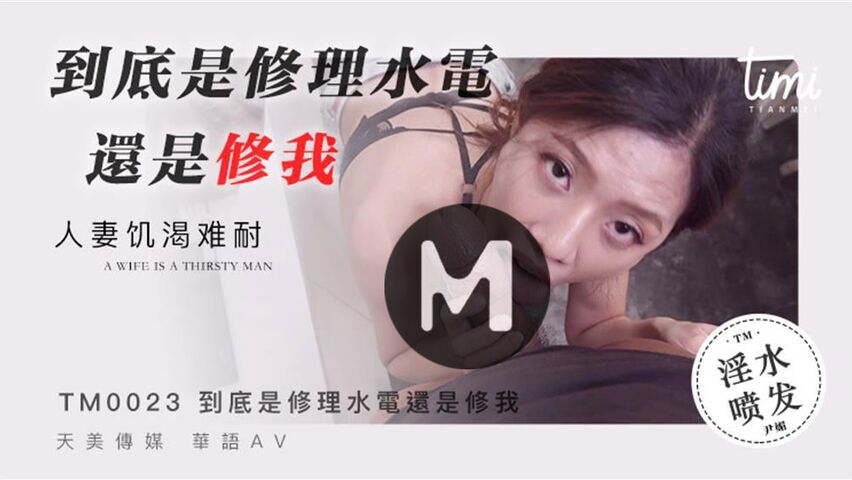 天美传媒5部合集-TM0023到底是修理水电还是修我海报剧照