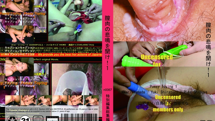 tokyo-hot-n0067-膣肉の悲鳴を聞け!1