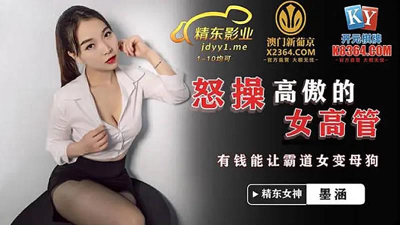 JDSY024  怒操高傲女高管海报剧照