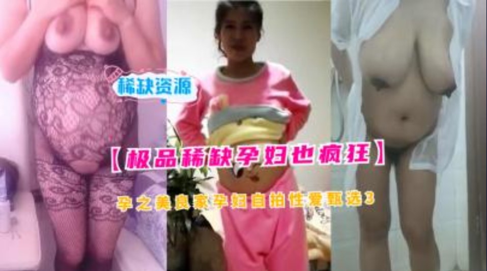 极品稀缺孕妇也疯狂，孕之美良家妇女自拍性爱甄选2海报剧照