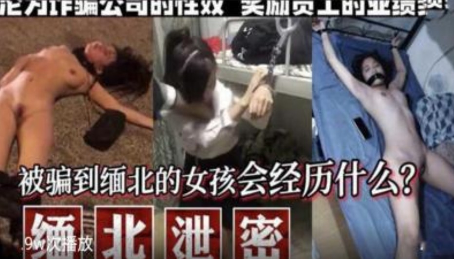 被骗到缅北的女孩会经历什么海报剧照