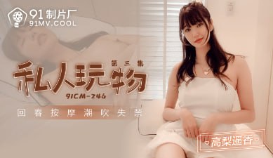 91CM-246私人玩物第三集海报剧照