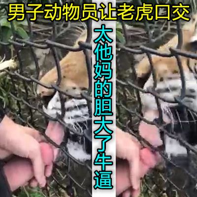 外国狠人让老虎给他口交牛逼