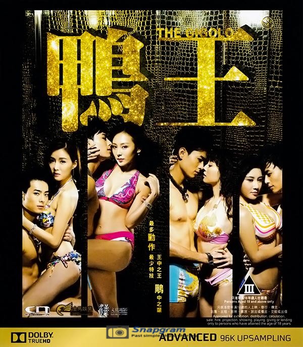 鸭王2(2016)TheGigolo27-11海报剧照